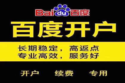 百度竞价公司成功案例揭秘：如何快速提升品牌曝光度